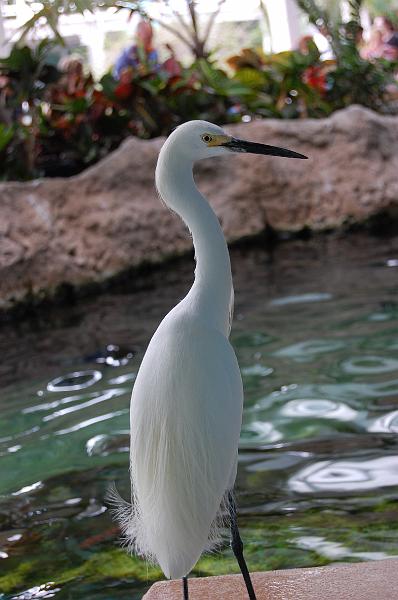268. stingray lagoon.JPG